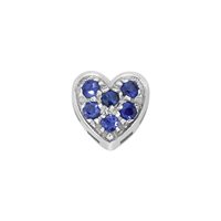 Charm Elements in Oro bianco DCHZ7398 ELEMENTS - DCHZ7398 ELEMENTS